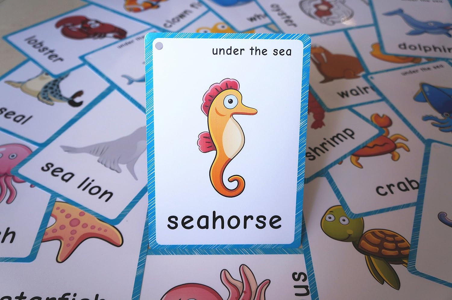 20 Pcs Sea Animals Flash Cards for Toddlers | Marine Animals Learning Cards & Montessori Pocket Cards Perfect for Pre-K Wall Stickers and Insect Themed Party, Teacher/Autism Therapists Tools